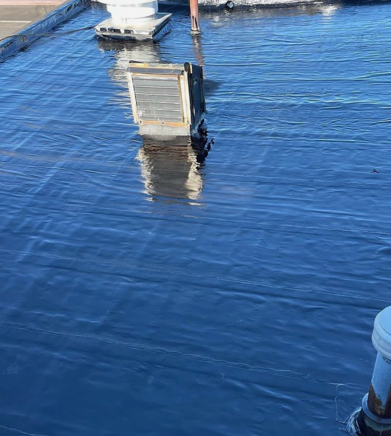 Commercial roof coating